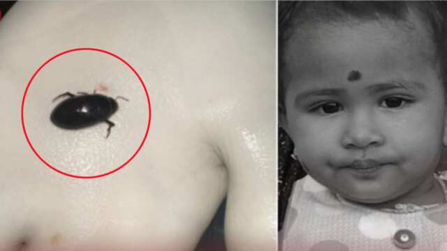 ఇంట్లో చిన్న పిల్లలు ఉంటే చాలా జాగ్రత్త!